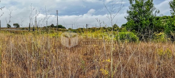 745m² Land in Santarem, Portugal No. 12652 18
