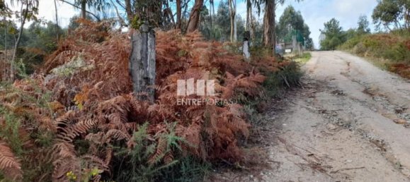 2475m² Land in Amarante, Portugal No. 57454 2