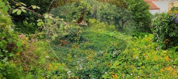 9 bedrooms House in Cascais, Portugal No. 49655 3