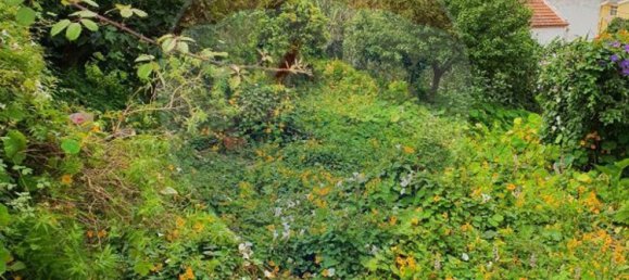 9 bedrooms House in Cascais, Portugal No. 49655 4