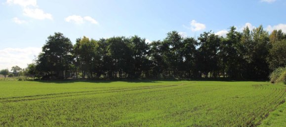 3-Zimmer Doppelhaus in Nordsachsen, Germany, Nr. 191096 9
