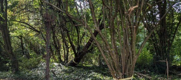 Terreno em Rotenburg, Germany 855 m² N.º 337880 4