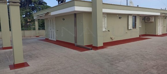 3غرفة بانتهاوس في Velletri, Italy رقم 203563 17