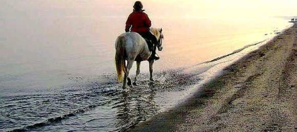 3 bedrooms House in Comacchio, Italy No. 330140 24