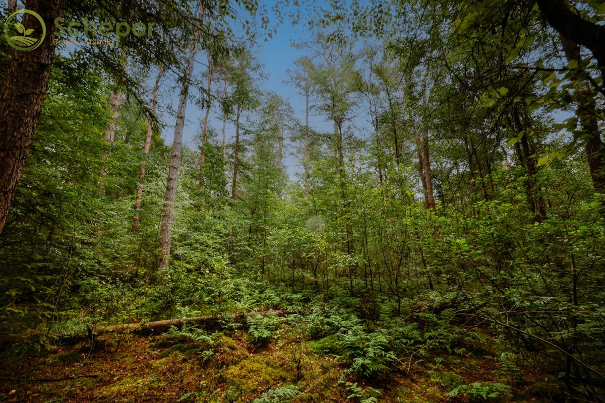 Земельный участок в Cuxhaven, Германия № 249632