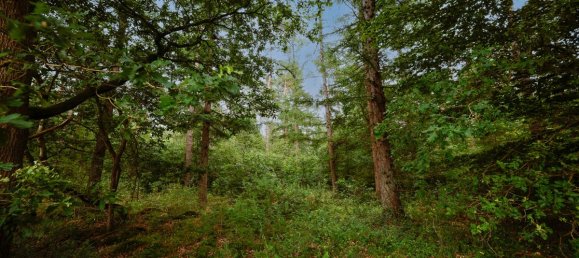 Земельный участок в Cuxhaven, Германия № 249632 5