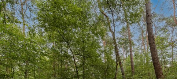 Земельный участок в Cuxhaven, Германия № 249632 4