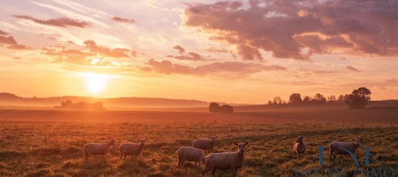 8 bedrooms House in Eure, France No. 307009 5