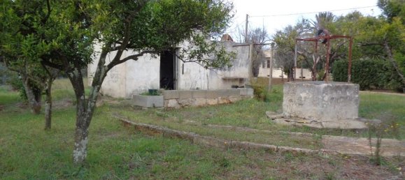 2-Zimmer Villa in Matino, Italy, Nr. 237791 4