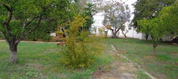 2-Zimmer Villa in Matino, Italy, Nr. 237791 7