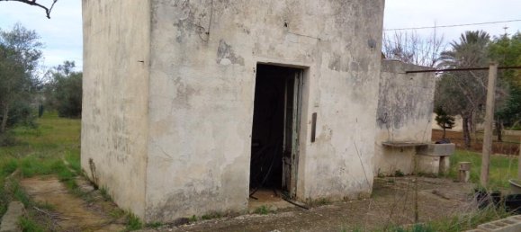 2-Zimmer Villa in Matino, Italy, Nr. 237791 8