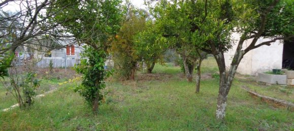 2-Zimmer Villa in Matino, Italy, Nr. 237791 5