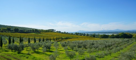 7 bedrooms Villa in Tuoro sul Trasimeno, Italy No. 54193 2