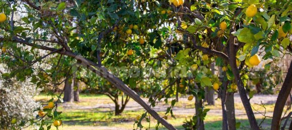2 chambres Maison à Pietra Ligure, Italy No. 271617 4