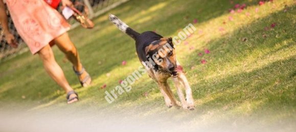 2 غرف نوم شقة في Thu Duc, Vietnam رقم 10831 7