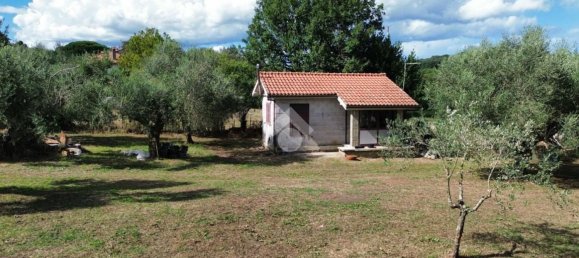 1 Schlafzimmer Haus in Bracciano, Italy, Nr. 318808 15