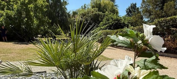 3 bedrooms House in La Chapelle-Saint-Mesmin, France No. 346271 3