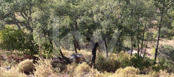 Terreno em Loulé, Portugal N.º 81271 10