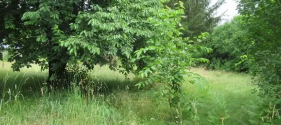 3 bedrooms House in Oder-Spree, Germany No. 101426 13