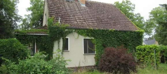 3 bedrooms House in Oder-Spree, Germany No. 101426 10