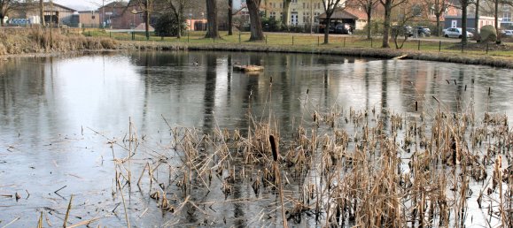 4-Zimmer Stadthaus in Schleswig-Holstein, Germany, Nr. 37437 25