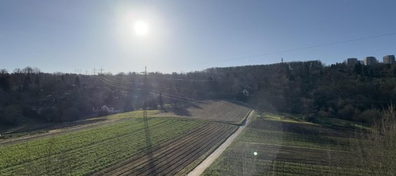 3 chambres Appartement à Baden-Wurttemberg, Germany No. 99601 12