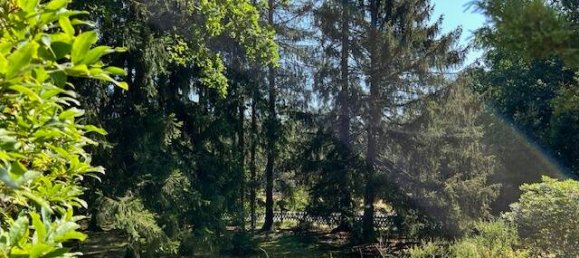 5 rooms House in Harburg, Germany No. 184985 36