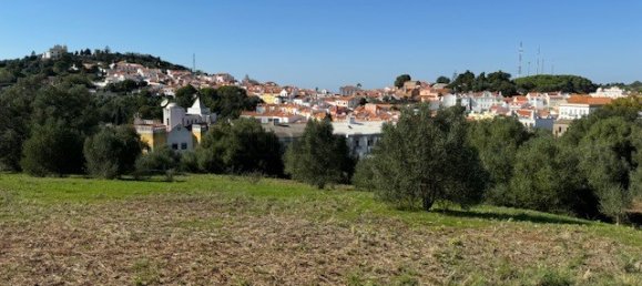 2 bedrooms House in Santiago do Cacem, Portugal No. 162649 3