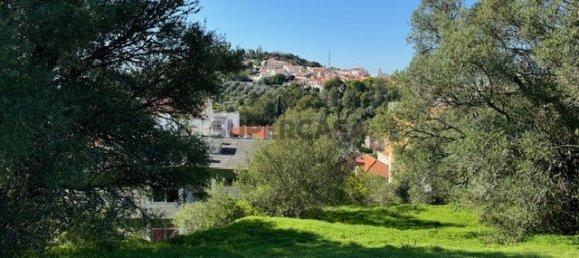 2 bedrooms House in Santiago do Cacem, Portugal No. 162649 15