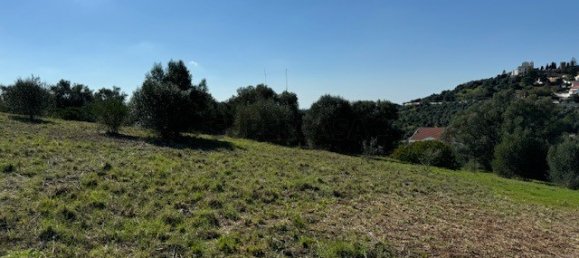 2 bedrooms House in Santiago do Cacem, Portugal No. 162649 13