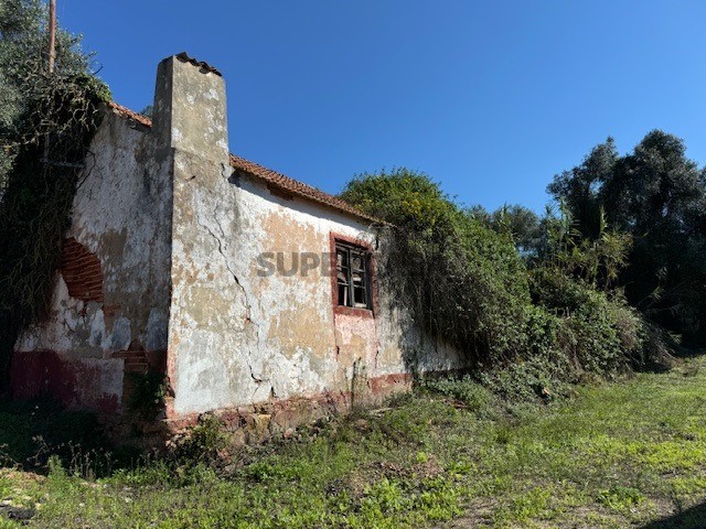 2 bedrooms House in Santiago do Cacem, Portugal No. 162649