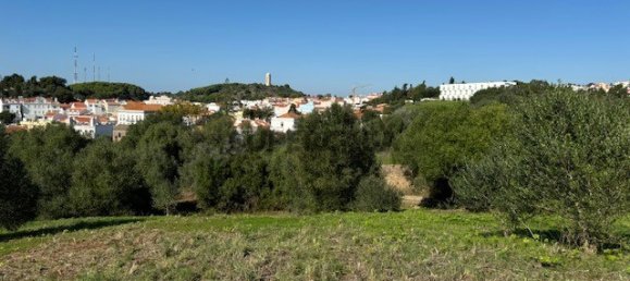 2 bedrooms House in Santiago do Cacem, Portugal No. 162649 4