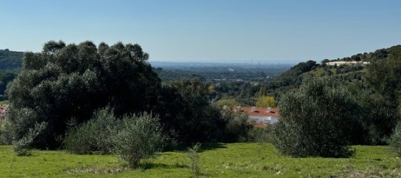 2 bedrooms House in Santiago do Cacem, Portugal No. 162649 6