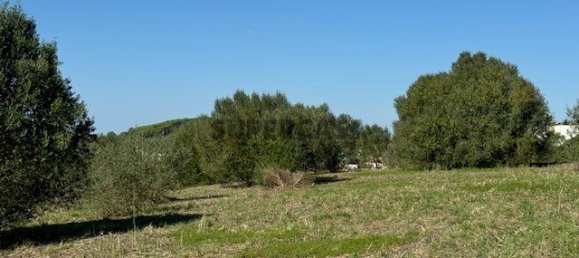 2 bedrooms House in Santiago do Cacem, Portugal No. 162649 16