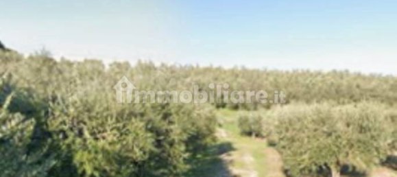 1 غرف نوم شقة في Monte Urano, Italy رقم 330257 6