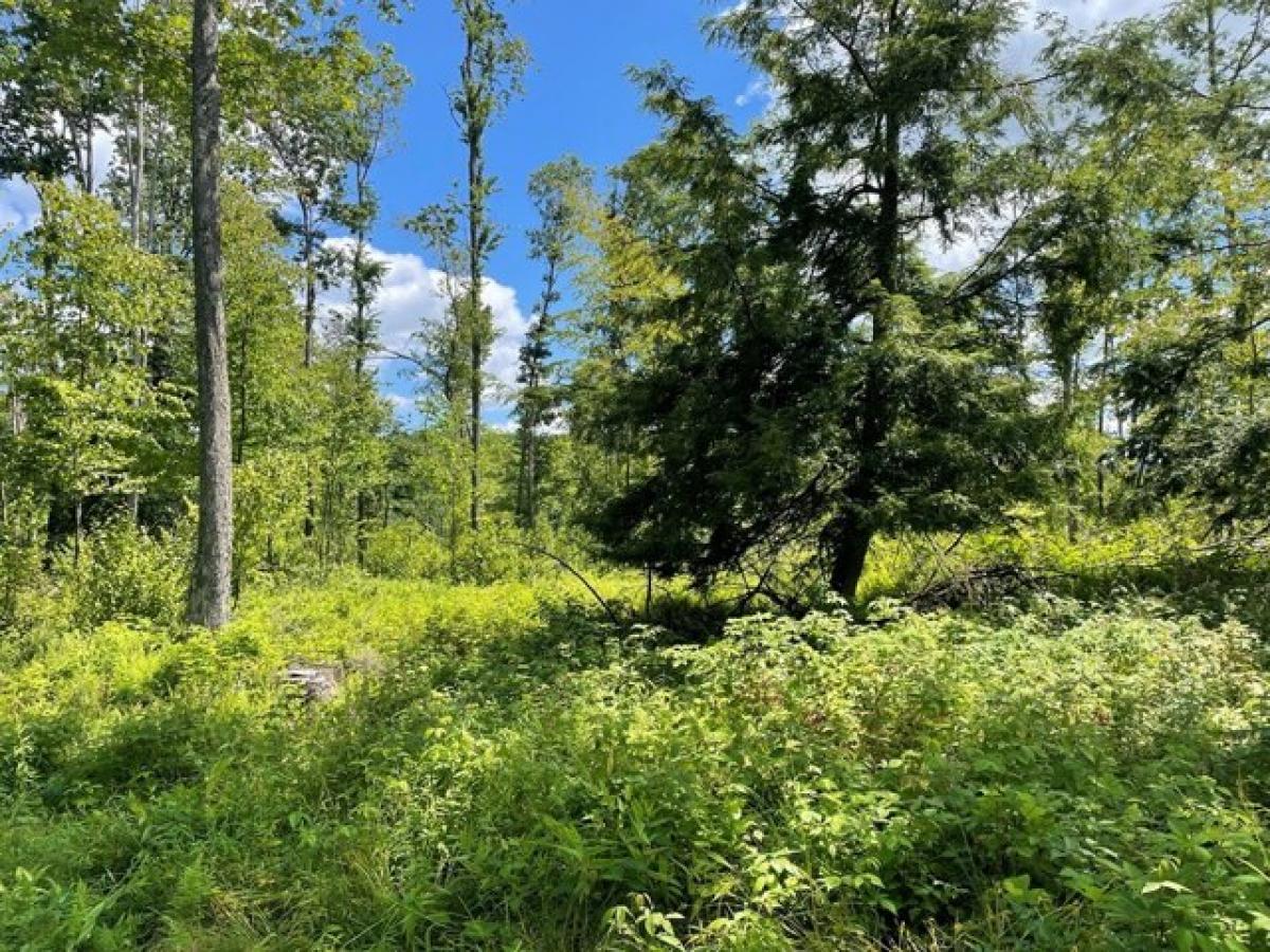  Land in Kennerdell, USA No. 535735