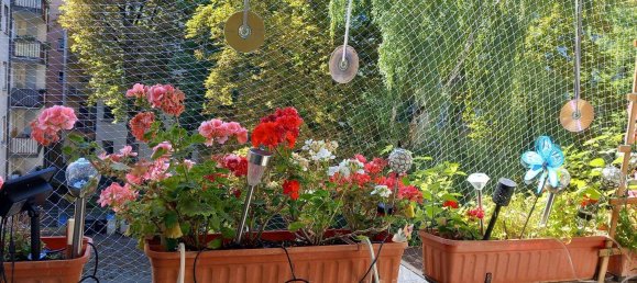 2 bedrooms Apartment in Mannheim, Germany No. 331331 5