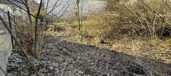 6-Zimmer Haus in Lahn-Dill, Germany, Nr. 189489 18