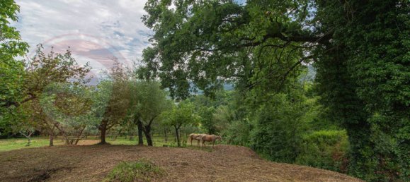 3 bedrooms House in Arpino, Italy No. 77613 12