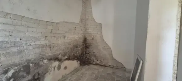 3-Zimmer Haus in Oder-Spree, Germany, Nr. 359492 10