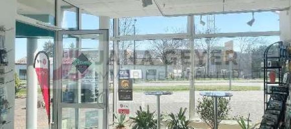 183m² Commercial property in Nordsachsen, Germany No. 355919 5