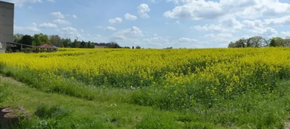 Casa de 10 habitaciónes en Nordsachsen, Germany No. 160345 2