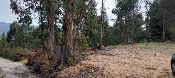 Grundstück in Amarante, Portugal, Nr. 57453 12