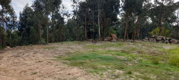 Grundstück in Amarante, Portugal, Nr. 57453 14