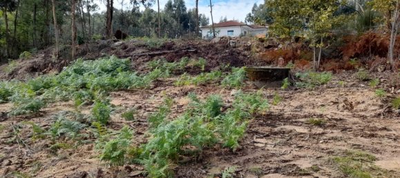 Grundstück in Amarante, Portugal, Nr. 57453 10