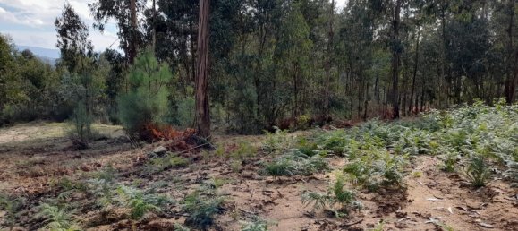 Grundstück in Amarante, Portugal, Nr. 57453 7