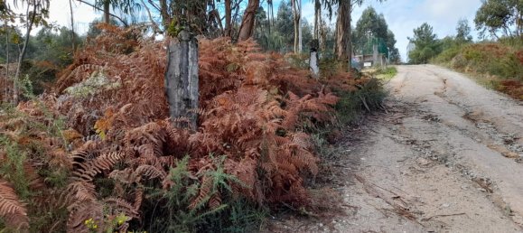 Grundstück in Amarante, Portugal, Nr. 57453 3