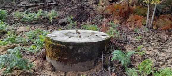 Grundstück in Amarante, Portugal, Nr. 57453 9