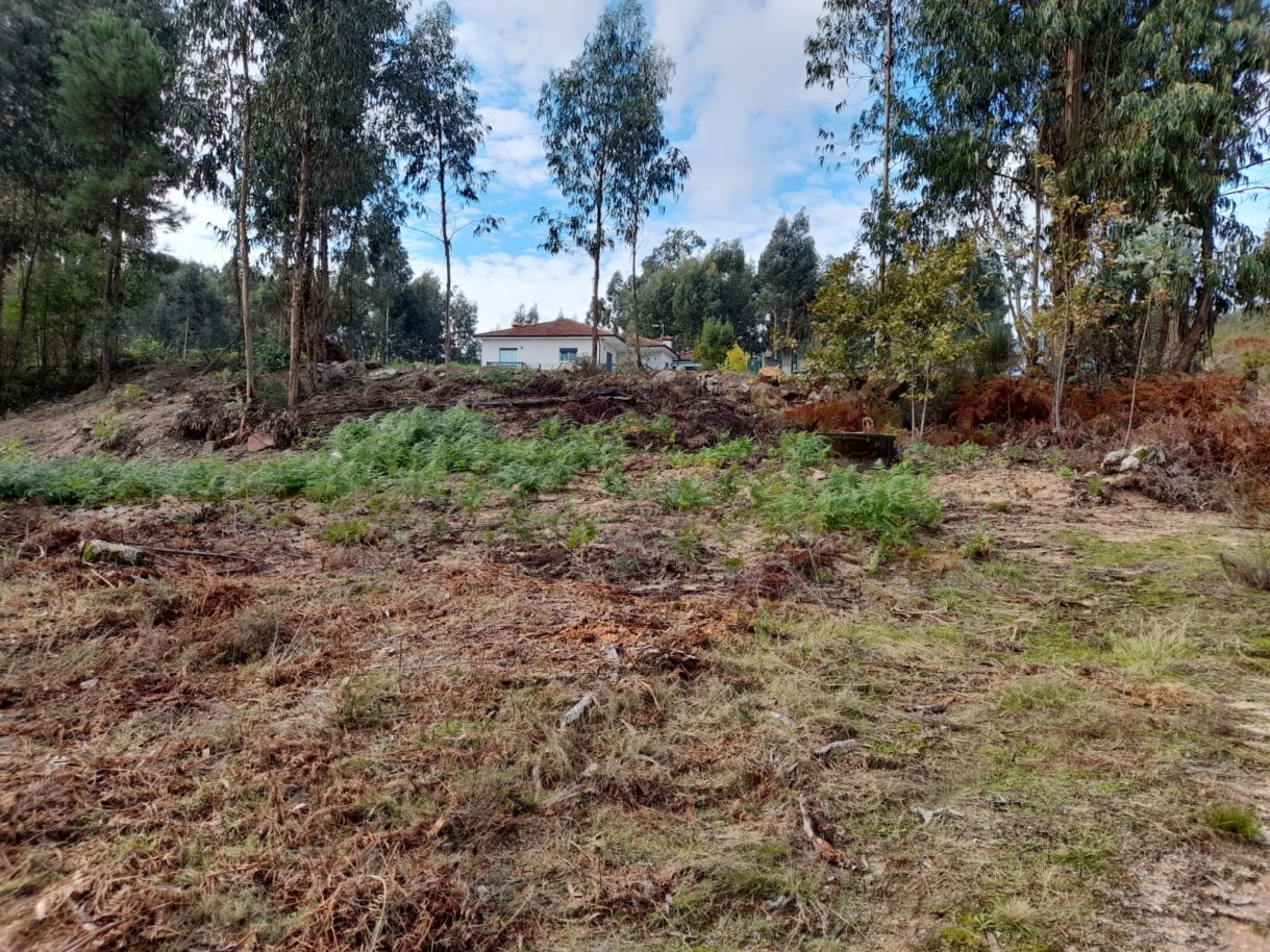 Grundstück in Amarante, Portugal, Nr. 57453