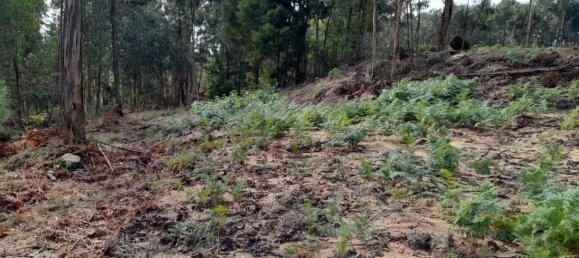 Grundstück in Amarante, Portugal, Nr. 57453 11